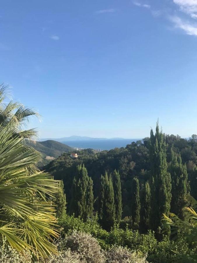 サレルノ La Riggiola Bed & Breakfast エクステリア 写真