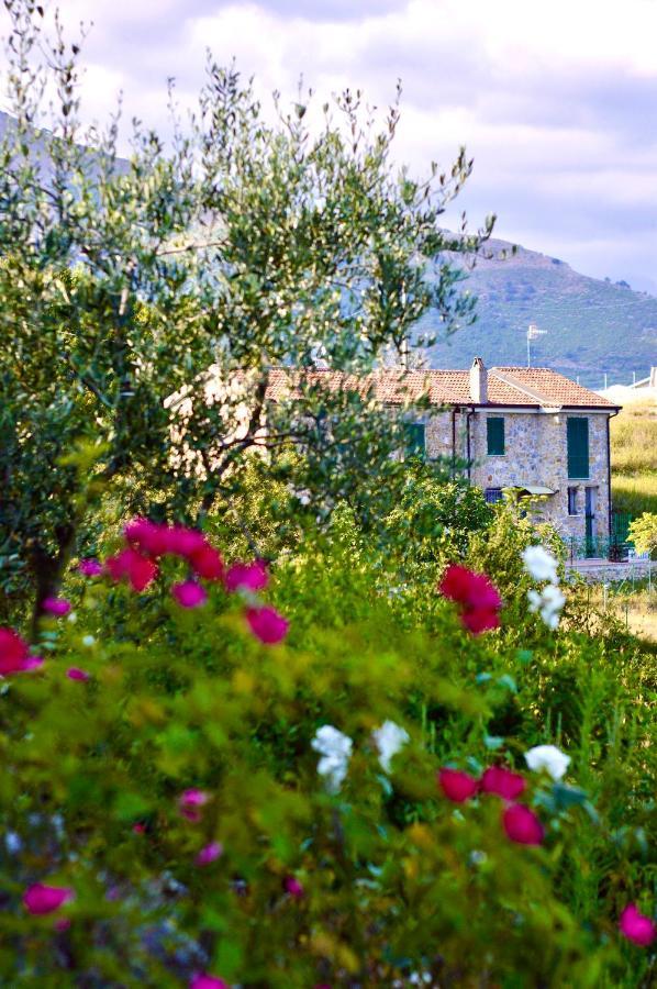 サレルノ La Riggiola Bed & Breakfast エクステリア 写真