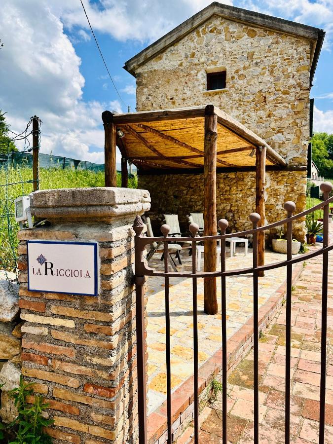 サレルノ La Riggiola Bed & Breakfast エクステリア 写真